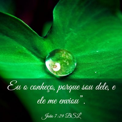 Picture 03 - João 7:29 BSL - Eu o conheço, porque sou dele, e ele me - Bible Verse Picture