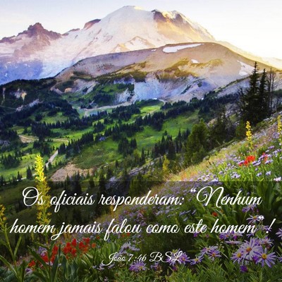 Picture 03 - João 7:46 BSL - Os oficiais responderam: “Nenhum homem jamais - Bible Verse Picture