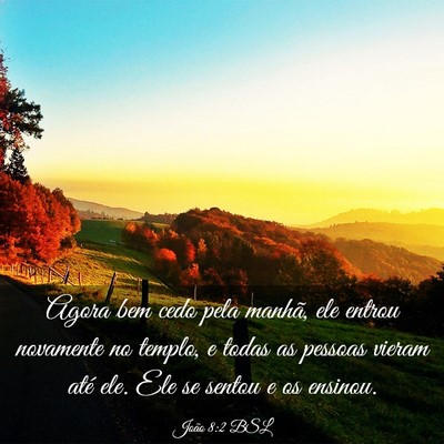 Picture 03 - João 8:2 BSL - Agora bem cedo pela manhã, ele entrou novamente - Bible Verse Picture
