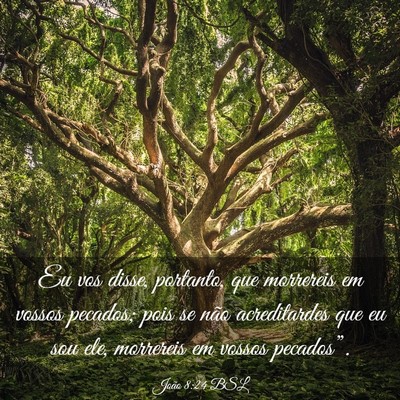 Picture 03 - João 8:24 BSL - Eu vos disse, portanto, que morrereis em vossos - Bible Verse Picture