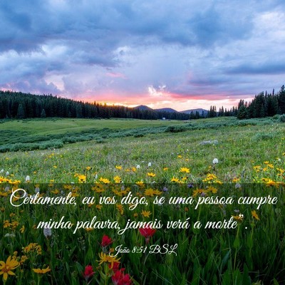 Picture 03 - João 8:51 BSL - Certamente, eu vos digo, se uma pessoa cumpre - Bible Verse Picture