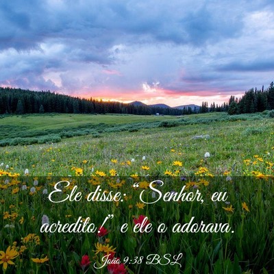 Picture 03 - João 9:38 BSL - Ele disse: “Senhor, eu acredito!” e ele o - Bible Verse Picture
