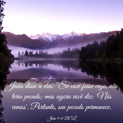 Picture 03 - João 9:41 BSL - Jesus disse a eles: “Se você fosse cego, não - Bible Verse Picture