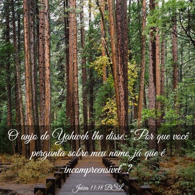 Picture 03 - Juízes 13:18 BSL - O anjo de Yahweh lhe disse: “Por que você - Bible Verse Picture