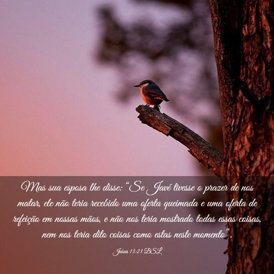 Picture 03 - Juízes 13:23 BSL - Mas sua esposa lhe disse: “Se Javé tivesse o - Bible Verse Picture