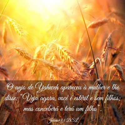 Picture 03 - Juízes 13:3 BSL - O anjo de Yahweh apareceu à mulher e lhe disse: - Bible Verse Picture