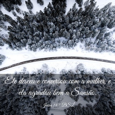 Picture 03 - Juízes 14:7 BSL - Ele desceu e conversou com a mulher, e ela - Bible Verse Picture