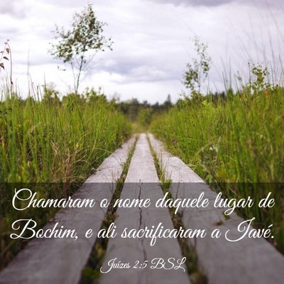 Picture 03 - Juízes 2:5 BSL - Chamaram o nome daquele lugar de Bochim, e ali - Bible Verse Picture