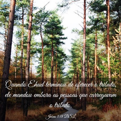 Picture 03 - Juízes 3:18 BSL - Quando Ehud terminou de oferecer o tributo, ele - Bible Verse Picture