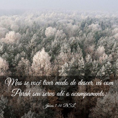 Picture 03 - Juízes 7:10 BSL - Mas se você tiver medo de descer, vá com Purah - Bible Verse Picture