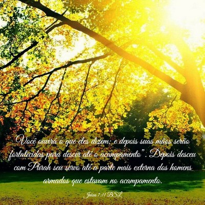 Picture 03 - Juízes 7:11 BSL - Você ouvirá o que eles dizem; e depois suas - Bible Verse Picture