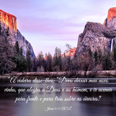 Picture 03 - Juízes 9:13 BSL - “A videira disse-lhes: “Devo deixar meu novo - Bible Verse Picture