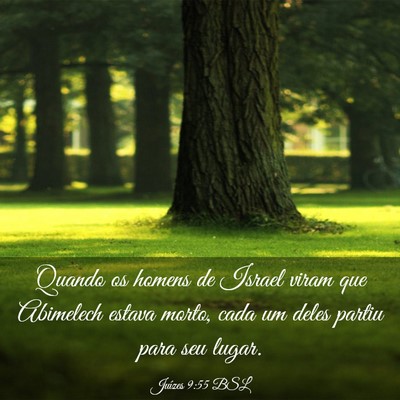 Picture 03 - Juízes 9:55 BSL - Quando os homens de Israel viram que Abimelech - Bible Verse Picture