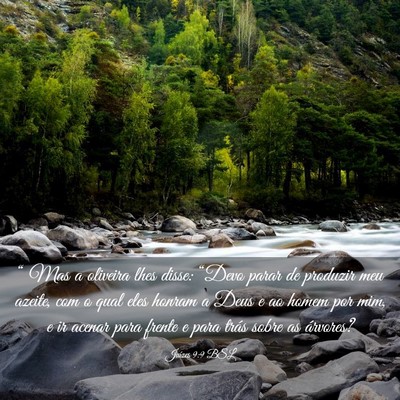 Picture 03 - Juízes 9:9 BSL - “ Mas a oliveira lhes disse: “Devo parar de - Bible Verse Picture