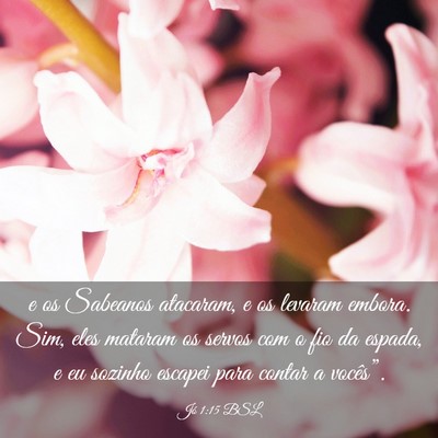 Picture 03 - Jó 1:15 BSL - e os Sabeanos atacaram, e os levaram embora. Sim, - Bible Verse Picture