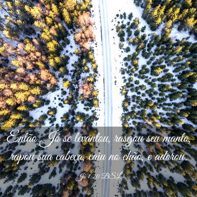 Picture 03 - Jó 1:20 BSL - Então Jó se levantou, rasgou seu manto, rapou - Bible Verse Picture