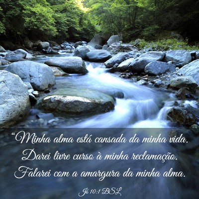 Picture 03 - Jó 10:1 BSL - “Minha alma está cansada da minha vida. Darei - Bible Verse Picture