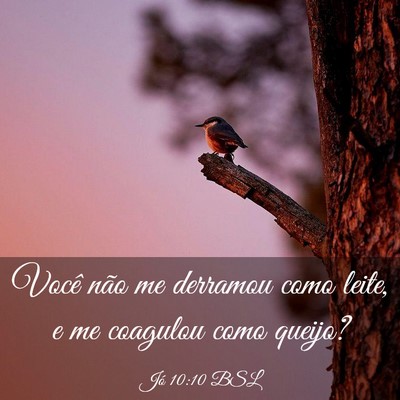 Picture 03 - Jó 10:10 BSL - Você não me derramou como leite, e me coagulou - Bible Verse Picture