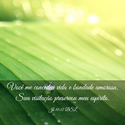 Picture 03 - Jó 10:12 BSL - Você me concedeu vida e bondade amorosa. Sua - Bible Verse Picture