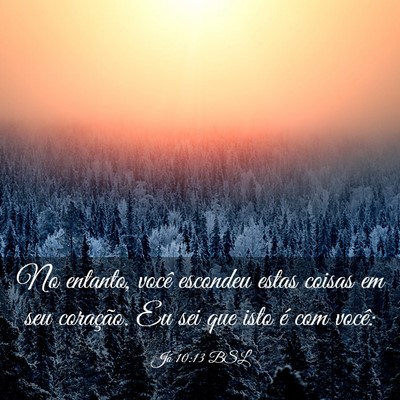 Picture 03 - Jó 10:13 BSL - No entanto, você escondeu estas coisas em seu - Bible Verse Picture