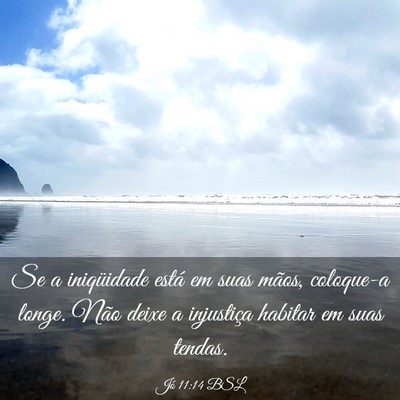Picture 03 - Jó 11:14 BSL - Se a iniqüidade está em suas mãos, coloque-a - Bible Verse Picture