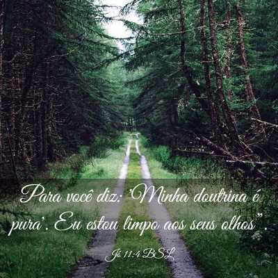 Picture 03 - Jó 11:4 BSL - Para você diz: 'Minha doutrina é pura'. Eu - Bible Verse Picture