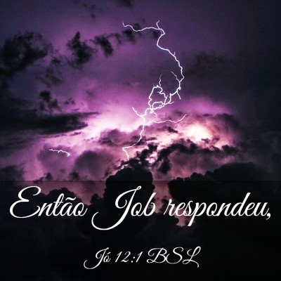 Picture 03 - Jó 12:1 BSL - Então Job - Bible Verse Picture