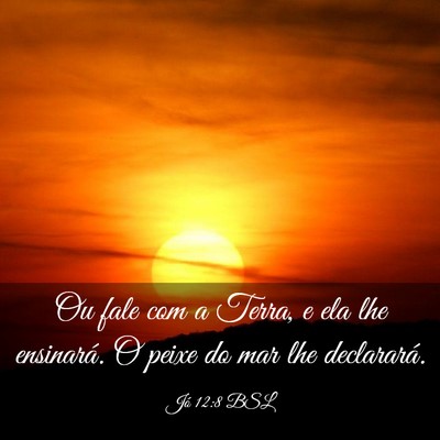 Picture 03 - Jó 12:8 BSL - Ou fale com a Terra, e ela lhe ensinará. O peixe - Bible Verse Picture