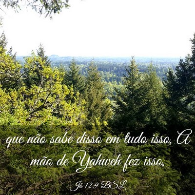 Picture 03 - Jó 12:9 BSL - que não sabe disso em tudo isso, A mão de - Bible Verse Picture