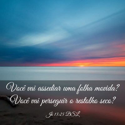 Picture 03 - Jó 13:25 BSL - Você vai assediar uma folha movida? Você vai - Bible Verse Picture
