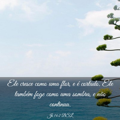 Picture 03 - Jó 14:2 BSL - Ele cresce como uma flor, e é cortado. Ele - Bible Verse Picture