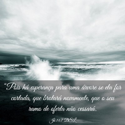 Picture 03 - Jó 14:7 BSL - “Pois há esperança para uma árvore se ela - Bible Verse Picture