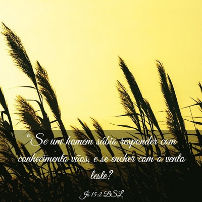 Picture 03 - Jó 15:2 BSL - “Se um homem sábio responder com conhecimento - Bible Verse Picture