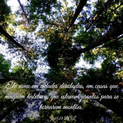 Picture 03 - Jó 15:28 BSL - Ele viveu em cidades desoladas, em casas que - Bible Verse Picture