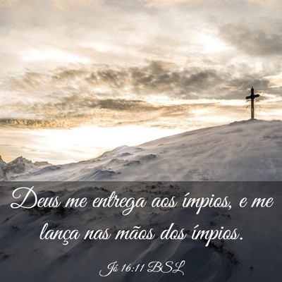 Picture 03 - Jó 16:11 BSL - Deus me entrega aos ímpios, e me lança nas - Bible Verse Picture