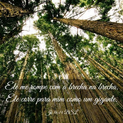 Picture 03 - Jó 16:14 BSL - Ele me rompe com a brecha na brecha. Ele corre - Bible Verse Picture