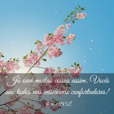 Picture 03 - Jó 16:2 BSL - “Já ouvi muitas coisas assim. Vocês são - Bible Verse Picture