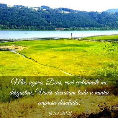 Picture 03 - Jó 16:7 BSL - Mas agora, Deus, você certamente me desgastou. - Bible Verse Picture