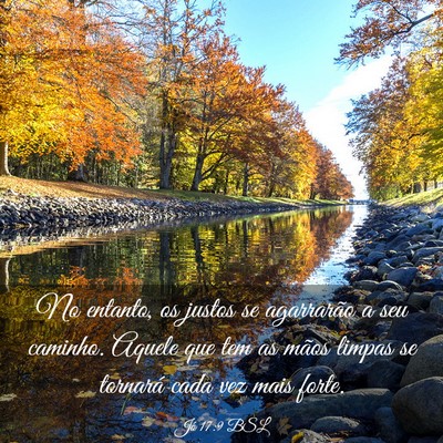 Picture 03 - Jó 17:9 BSL - No entanto, os justos se agarrarão a seu - Bible Verse Picture