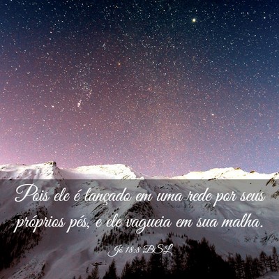 Picture 03 - Jó 18:8 BSL - Pois ele é lançado em uma rede por seus - Bible Verse Picture