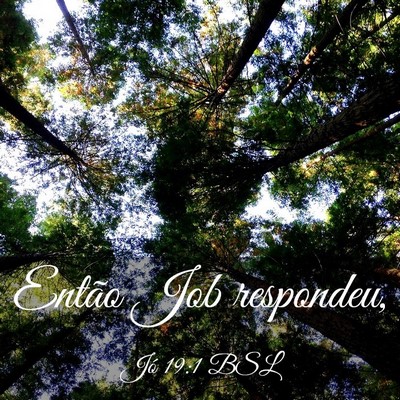 Picture 03 - Jó 19:1 BSL - Então Job - Bible Verse Picture