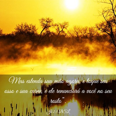 Picture 03 - Jó 2:5 BSL - Mas estenda sua mão agora, e toque seu osso e - Bible Verse Picture