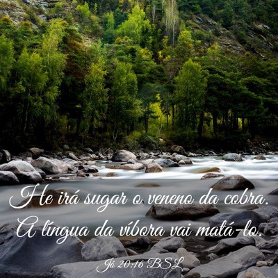 Picture 03 - Jó 20:16 BSL - He irá sugar o veneno da cobra. A língua da - Bible Verse Picture