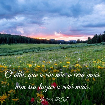Picture 03 - Jó 20:9 BSL - O olho que o viu não o verá mais, nem seu lugar - Bible Verse Picture