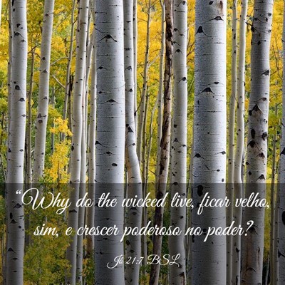 Picture 03 - Jó 21:7 BSL - “Why do the wicked live, ficar velho, sim, e - Bible Verse Picture