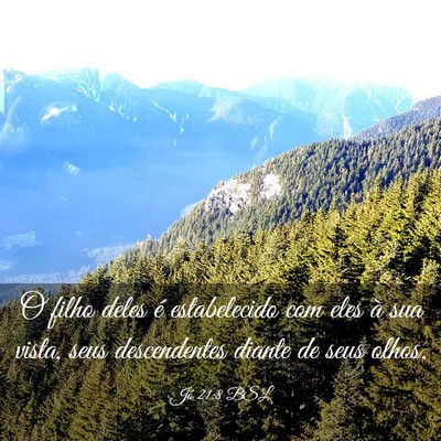 Picture 03 - Jó 21:8 BSL - O filho deles é estabelecido com eles à sua - Bible Verse Picture
