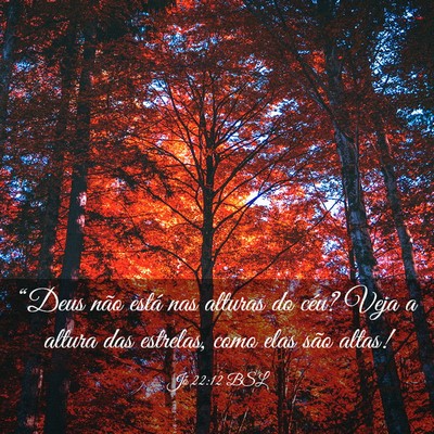 Picture 03 - Jó 22:12 BSL - “Deus não está nas alturas do céu? Veja a - Bible Verse Picture