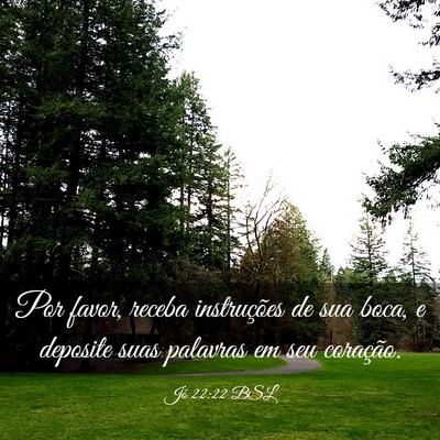 Picture 03 - Jó 22:22 BSL - Por favor, receba instruções de sua boca, e - Bible Verse Picture