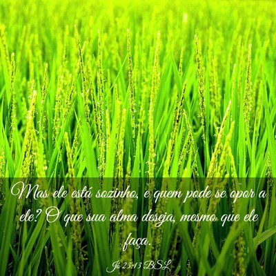 Picture 03 - Jó 23:13 BSL - Mas ele está sozinho, e quem pode se opor a ele? - Bible Verse Picture