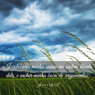 Picture 03 - Jó 23:4 BSL - I colocaria minha causa em ordem diante dele, e - Bible Verse Picture